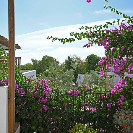 Matriz - Rooms Портел Екстер'єр фото
